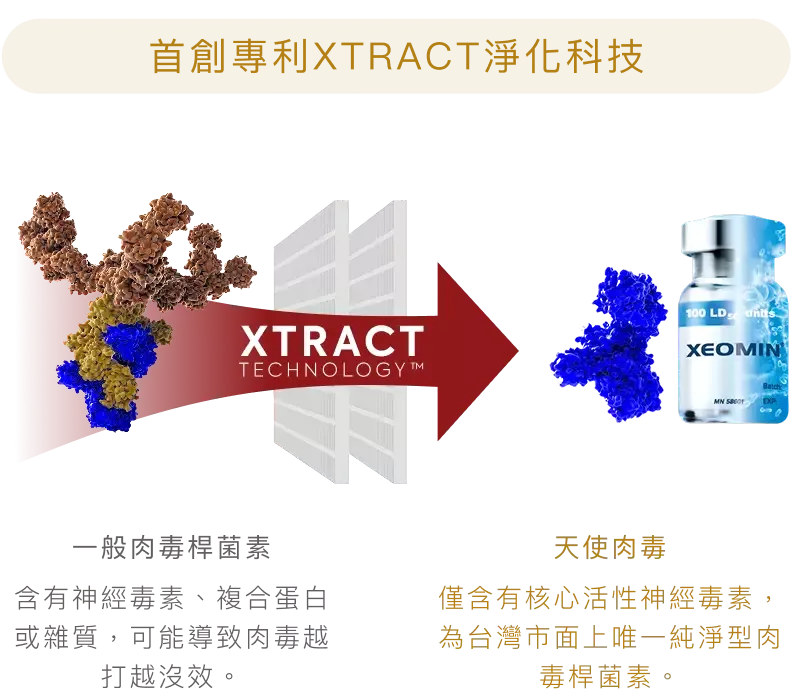 淨優明天使肉毒 XEOMIN 5 淨優明天使肉毒 XEOMIN 過濾流程圖