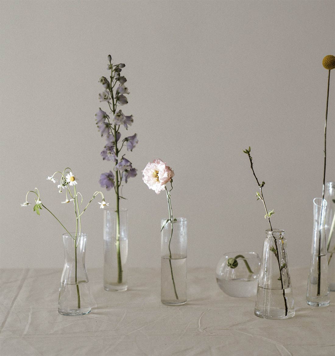 五個形狀和大小各異的透明玻璃花瓶，每個花瓶都插著不同類型的花朵或植物的一根莖，在中性背景下展示，營造出一種讓人想起的美感。